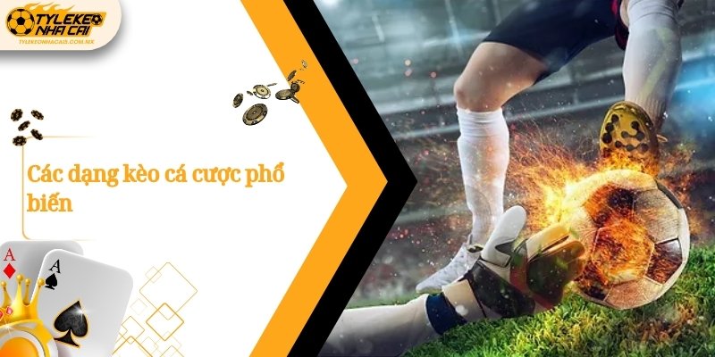 Các dạng kèo cá cược phổ biến