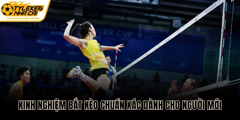 Kinh nghiệm bắt kèo chuẩn xác dành cho người mới