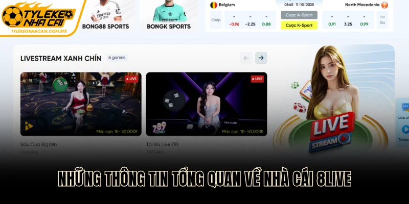 Những thông tin tổng quan về nhà cái 8LIVE